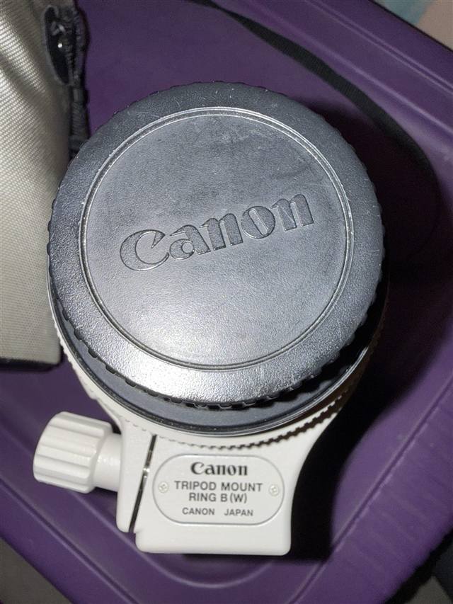 Lot 534 photo 3